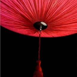 Lotus Leaf Modern Marin Tygkonst Droplight Av Röda Lyktor Lampa Light
