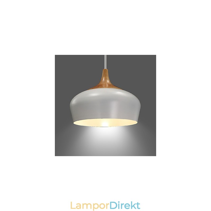 Vintage Retro Mini Stil Målning Metall Taklampa