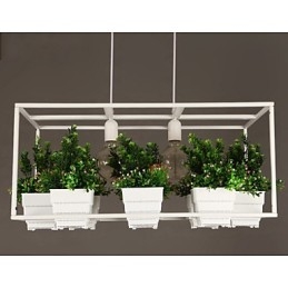 Modern Och Modern Dekorativ Design Taklampa (Inkluderar Inte Växter)