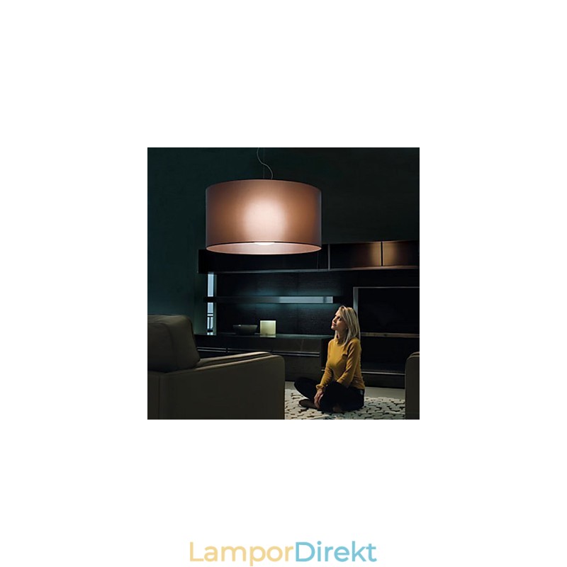 Klassisk Stil Iron Flush Mount Light Med Skärm