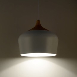 Pendellampor Modern Contemporary Metal