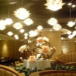 Lotus Modern Dekoration Droplight Lampa