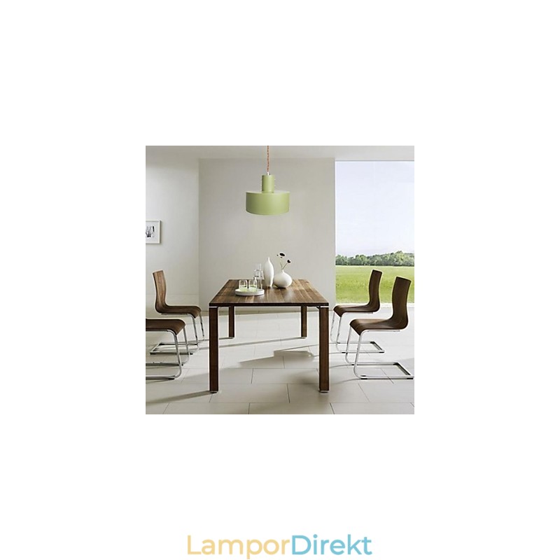 Modern Samtida Country Mini Style Målning Metall Pendel Light Kids