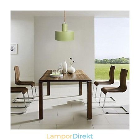 Modern Samtida Country Mini Style Målning Metall Pendel Light Kids Modern Samtida Country Mini Style Målning Metall Pendel Light Kids