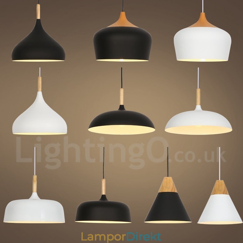 Modern Contemporary 1 Light Pendel Light