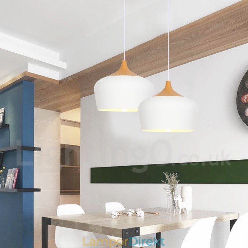 Modern Contemporary 1 Light Pendel Light