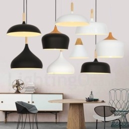 Modern Contemporary 1 Light Pendel Light