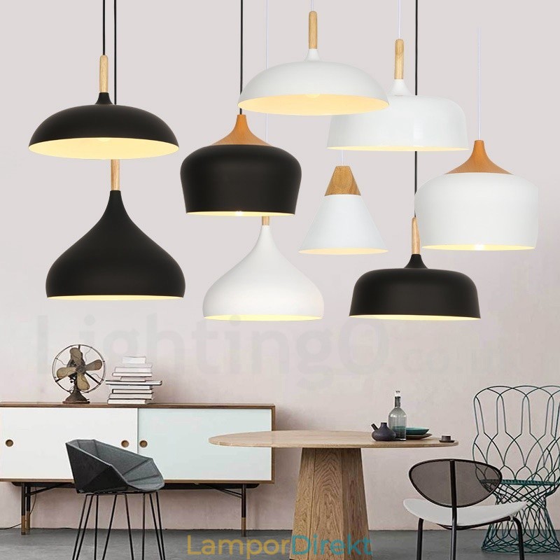 Modern Contemporary 1 Light Pendel Light