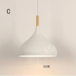 Modern Contemporary 1 Light Pendel Light