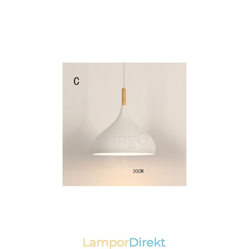 Modern Contemporary 1 Light Pendel Light