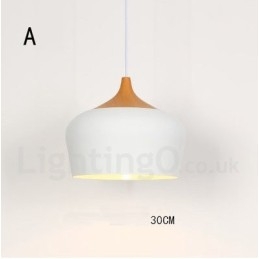 Modern Contemporary 1 Light Pendel Light