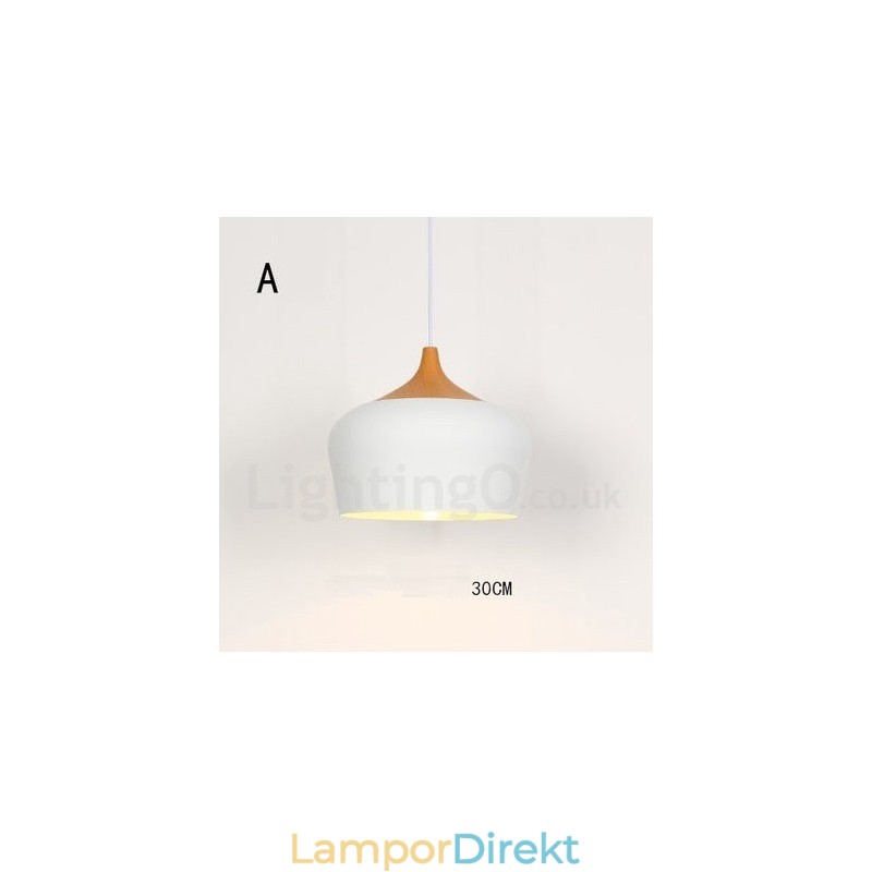 Modern Contemporary 1 Light Pendel Light