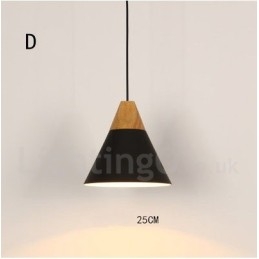 Modern Contemporary 1 Light Pendel Light
