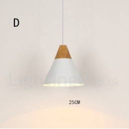 Modern Contemporary 1 Light Pendel Light