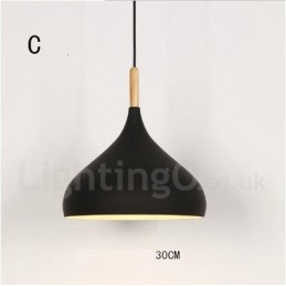 Modern Contemporary 1 Light Pendel Light