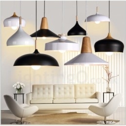 Modern Contemporary 1 Light Pendel Light