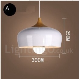 Modern Contemporary 1 Light Pendel Light