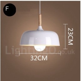 Modern Contemporary 1 Light Pendel Light