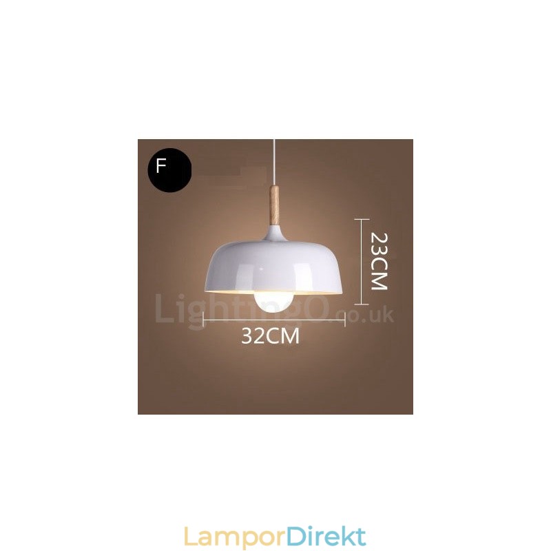 Modern Contemporary 1 Light Pendel Light