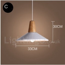 Modern Contemporary 1 Light Pendel Light