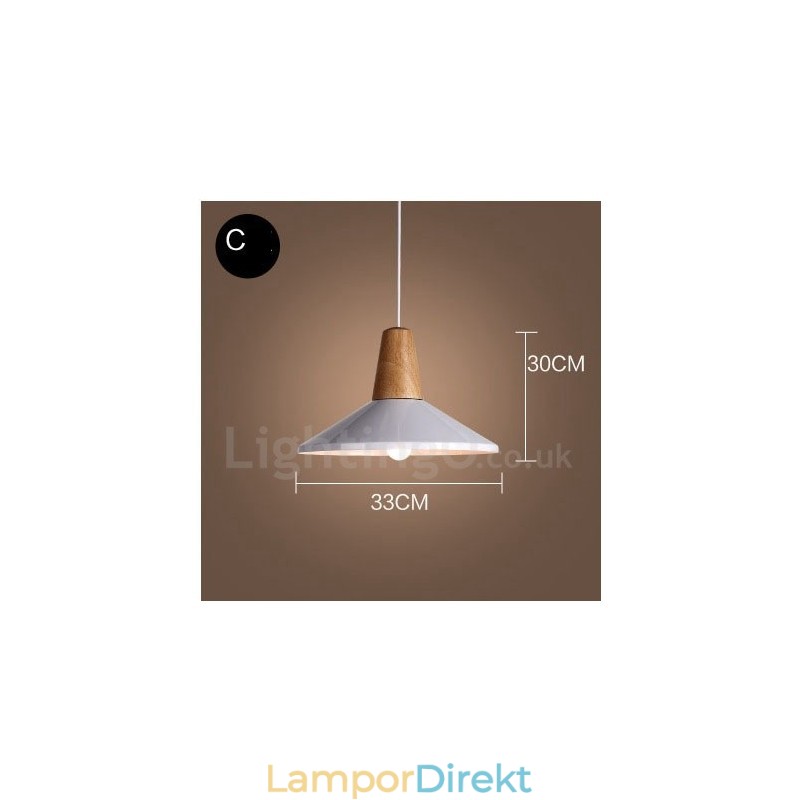 Modern Contemporary 1 Light Pendel Light