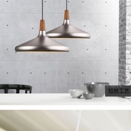 Modern Contemporary Metal 1 Light Pendel Light