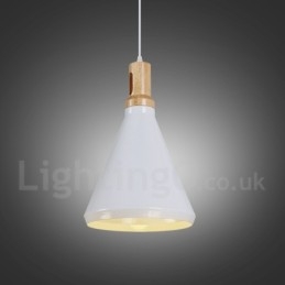 Modern Contemporary 1 Light Pendel Light