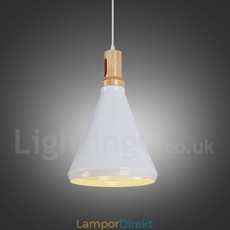 Modern Contemporary 1 Light Pendel Light