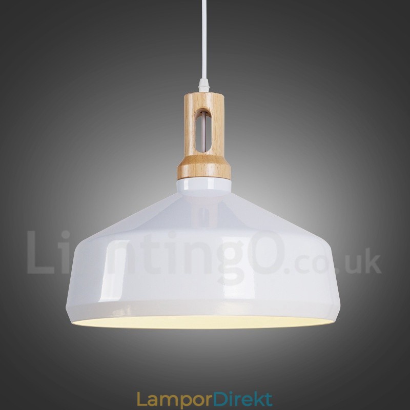 Modern Contemporary 1 Light Pendel Light