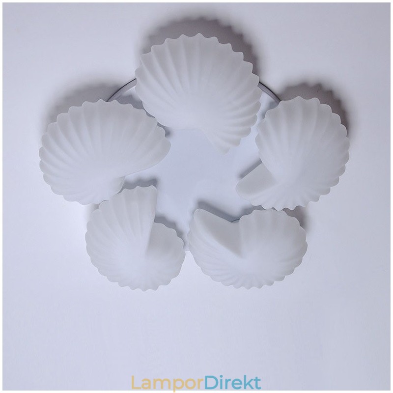 Conch 5 Light Traditionell Klassisk Integrerad Ljuskrona Med Glasskärm