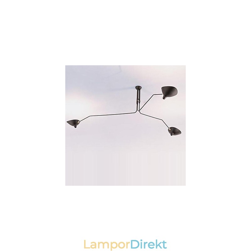 Modern Samtida Målningsfunktion För Designers Metallkrona