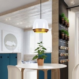 1 Ljus Modern Samtida Taklampa Med Svart Vit Röd Blå Skärm