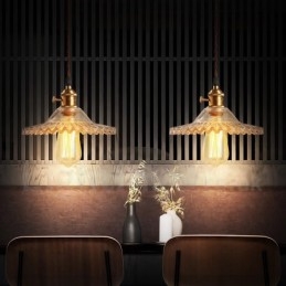 Rustic Lodge Retro 1 Light Steel Pendellampa Med Glasskärm