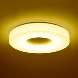 Dimbar Ultratunn Taklampa I Rund Trä Med Taklampa I Akryl I Nordisk Stil