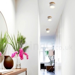 Trä Modern Design Mini-Taklampa Med Akrylskärm Special För Kan Även Användas Som Vägglampa