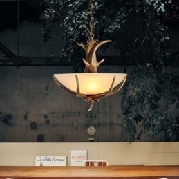 One Light Rustik Konstnärlig Retro Antler Antik Pendellampa Med Glasskärm