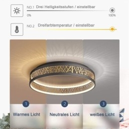 Takljus Fågelbo Rund Lampa Modern Armatur