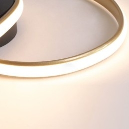 Flush Mount Borstad Gold Heart Shape Lighting Spotlight