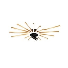 Flush Mount Akryl Irregular Linear Lamp Spotlight
