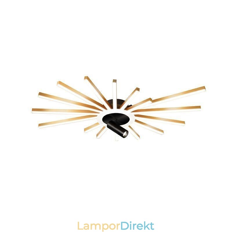Flush Mount Akryl Irregular Linear Lamp Spotlight