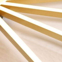 Flush Mount Akryl Irregular Linear Lamp Spotlight