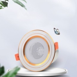 Downlight Bluetooth Musik Högtalarlampa Mobiltelefon Smart Taklampa