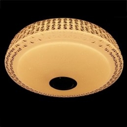 Taklampa Dekorativ Lampa Fjärrkontroll App-Kontroll Bluetooth Musikhögtalare Flush Mount