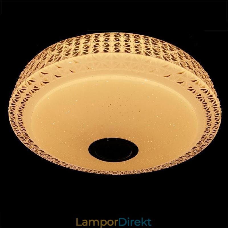 Taklampa Dekorativ Lampa Fjärrkontroll App-Kontroll Bluetooth Musikhögtalare Flush Mount