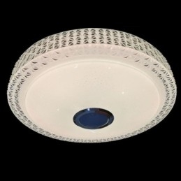 Taklampa Dekorativ Lampa Fjärrkontroll App-Kontroll Bluetooth Musikhögtalare Flush Mount