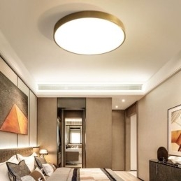 Round Flush Mount Modern Gyllene Taklampa I Akryl
