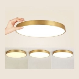 Round Flush Mount Modern Gyllene Taklampa I Akryl