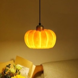 Enkelt Huvud Pumpa Taklampa Japansk Retro Taklampa