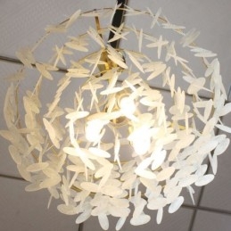 European Seashell Pendel Light