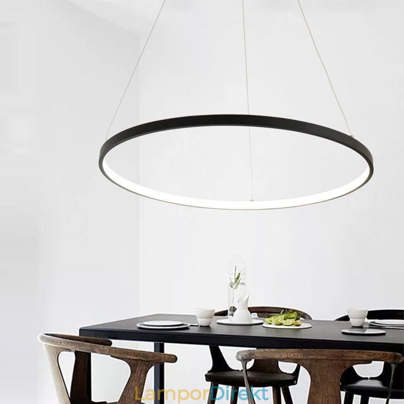 Pendellampa Acrylic Circle Hanging Light